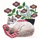 シャムと寄せ植え