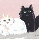 ふわふわキャット