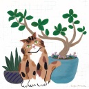 茶白とガジュマル