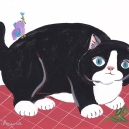 ハチワレのお土産